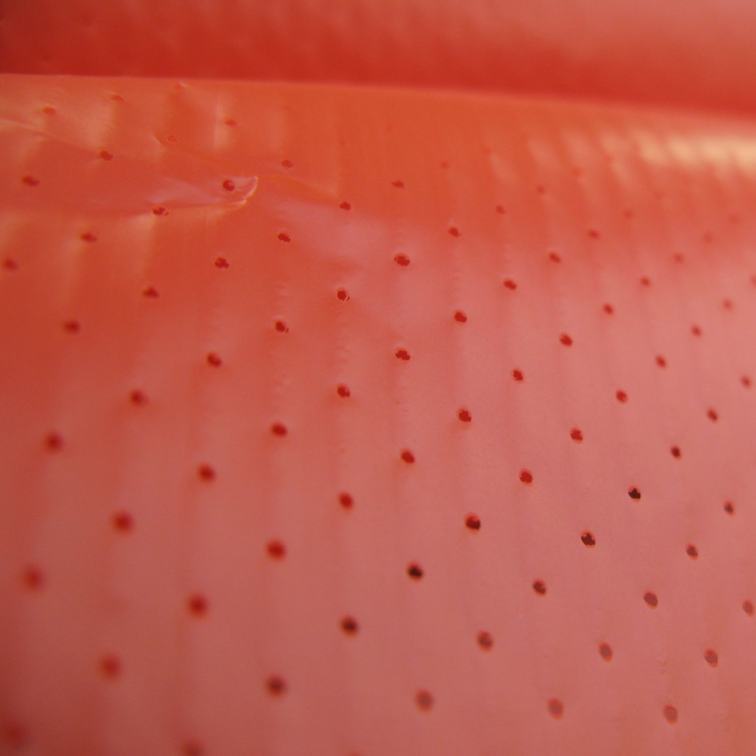 孔令仪有孩子吗_有孔薄膜_郭孔丞有几个子女