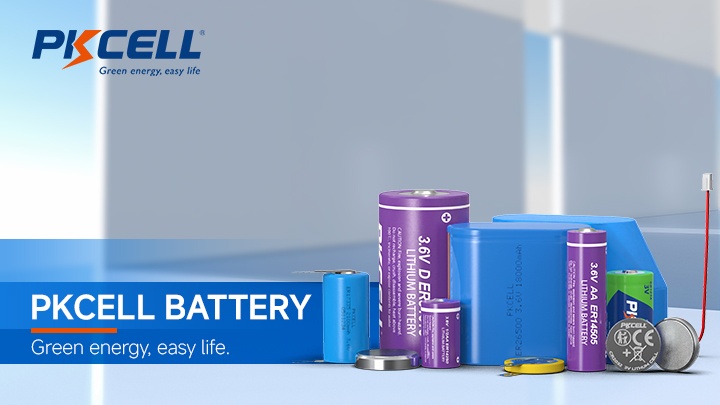 Shenzhen PKCELL Battery Co. Ltd Photo 1