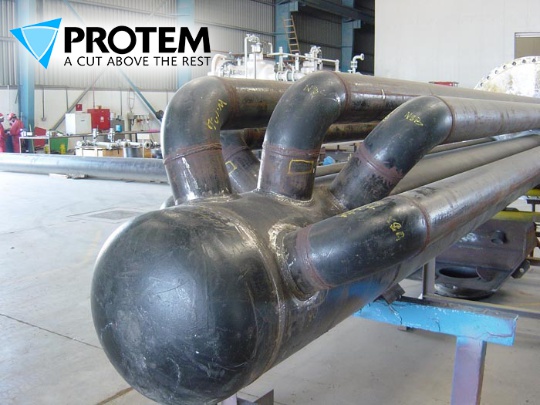 PROTEM Photo 2