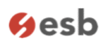 ESB SISTEMAS ESPAÑA SL - logo