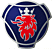 SCANIA Industrial & Marine Engines