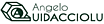 Angelo Quidacciolu Costruzioni Meccaniche