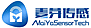 Ningxia Maiya Sensor Technology