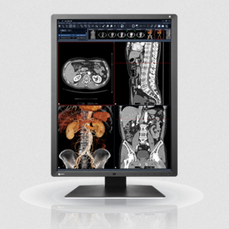 液晶显示器 - RX250 series - EIZO NANAO - LED背光 / 21.3