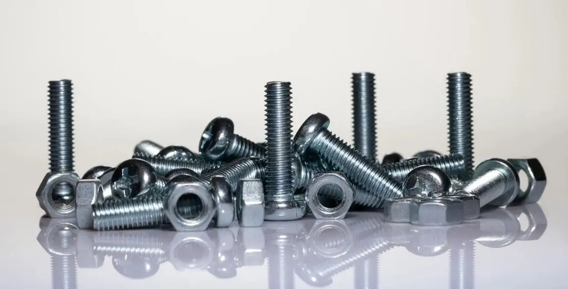 法螺貝 法螺貝（ほら貝）販売のお店