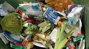 废料破碎机、粉碎机 / 工业用途