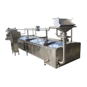 焙烧和干燥流水线 / 食品工业