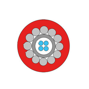 温度测量光缆 1