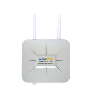 WiFi网接入点