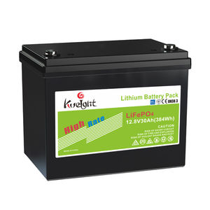 LiFePO4电池 1