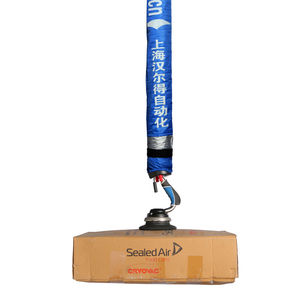 纸箱气管式提升机 1