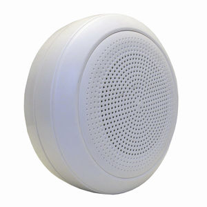 嵌入式扬声器