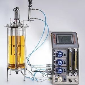 实验室生物反应器 1