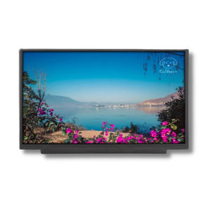 TFT LCD显示模块