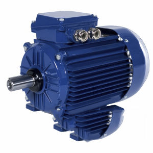 IE2电机 1