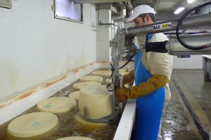 气动机械手 1