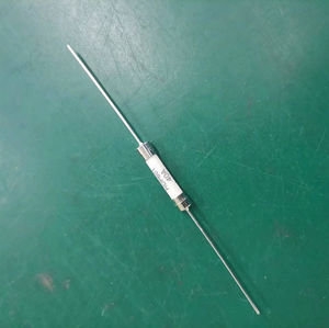 快速熔断器 1