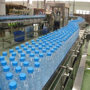 冲瓶机、灌装机、封盖机 / 瓶子 1