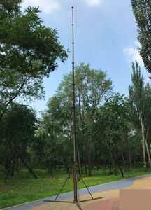 伸缩杆