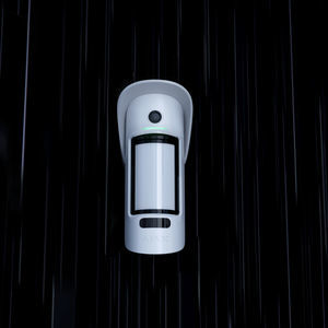 运动探测器