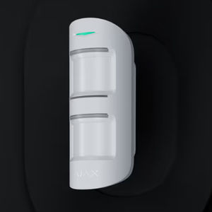 运动探测器