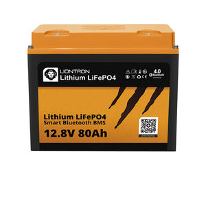 LiFePO4电池