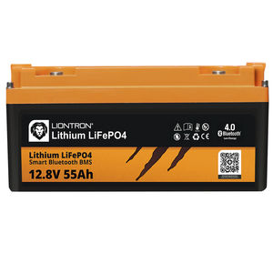 LiFePO4电池