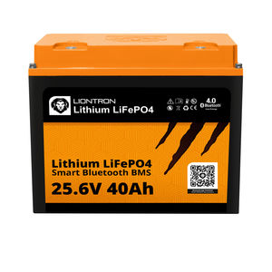 LiFePO4电池