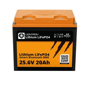 LiFePO4电池