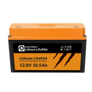 LiFePO4电池