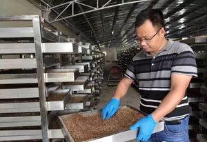 食品废弃物处理站