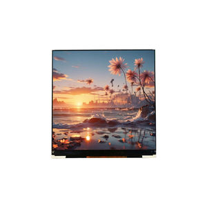 液晶显示模块