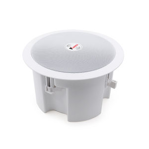 天花板扬声器 1