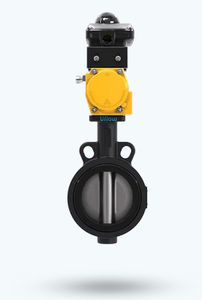 蝶阀 1