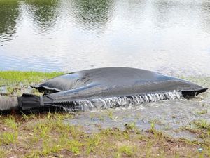 水过滤器过滤袋 1