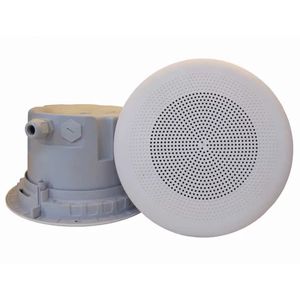 天花板扬声器