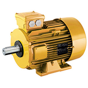 ATEX电机 1