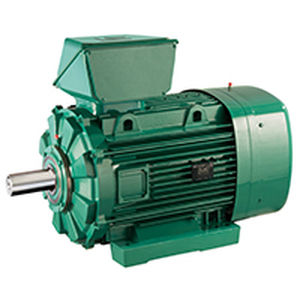ATEX电机 1