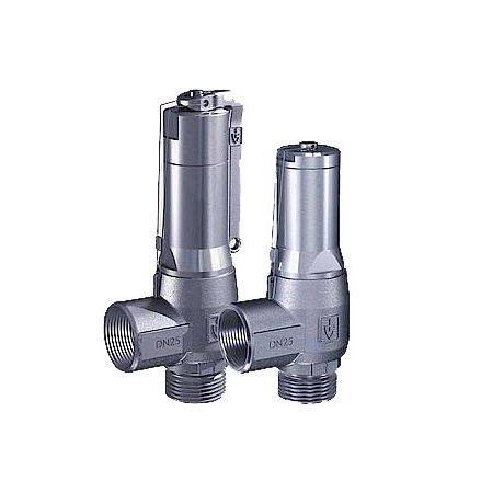 蒸汽安全阀 - 460 series - Goetze KG - 用于气体 / 压缩空气 / 罐用