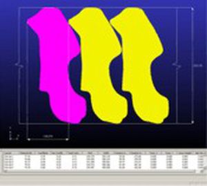 嵌套软件 - BLANKNEST - FTI Forming Technologies Incorporated - 流程