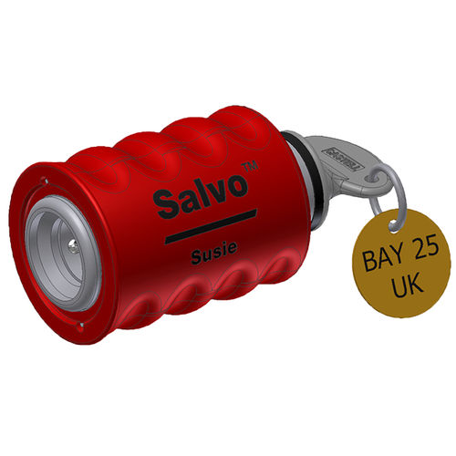 钥匙锁 - Salvo Susie - CASTELL SAFETY INTERNATIONAL - 工业用途