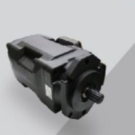 旋片液压泵 - HT series  - HOF HYDRAULIC - 双