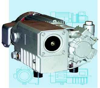 旋片真空泵 - AFM12/21 series - ANVER Vacuum System Specialists - 用油润滑 / 230 Vac / 460伏交流电