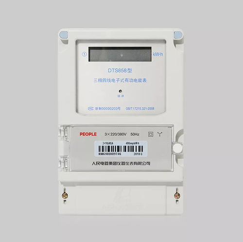 三相电能表 - DTS858  - PEOPLE ELE. APPLIANCE GROUP CO., LTD. - 壁挂 / RS-485 / LCD显示