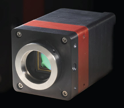监控摄像机 - 320 x 256 pix | OWL 1.7-CL-320 - Raptor Photonics - 用于夜视 / 红外 / 高敏型