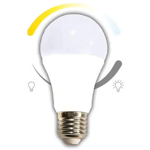 灯灯珠 - YMOCA-BULB-E27 - RP-Technik - RPower Batteries - E27 / 暖白光 / 240 VAC