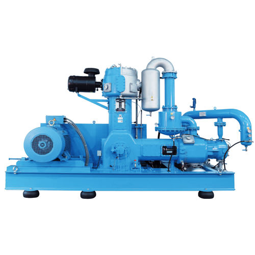 空气压缩机 / 固定式 / 电动式 / 活塞