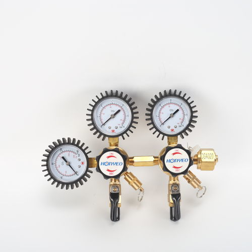 气体压力调节器 - YQJX-N1/-N2 - Xuzhou Hongye Apparatus & Instrument Co.,LTD - 用于CO2 / 隔膜 / 黄铜