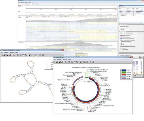 可视化软件 - Bioinformatics Toolbox™ - The MathWorks - 分析 / 用于质谱分析法