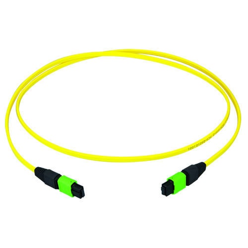 光纤跳接线 - 100010911 - TELEGARTNER - OM4 / OM3 / MPO 型